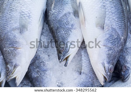 fresh fish on ice (raw fish in market)
