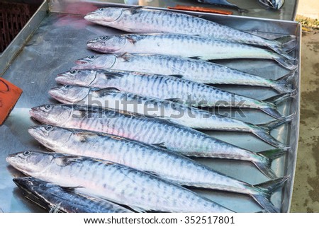Tropical fish (Barracuda) sold at fish market in Thailand