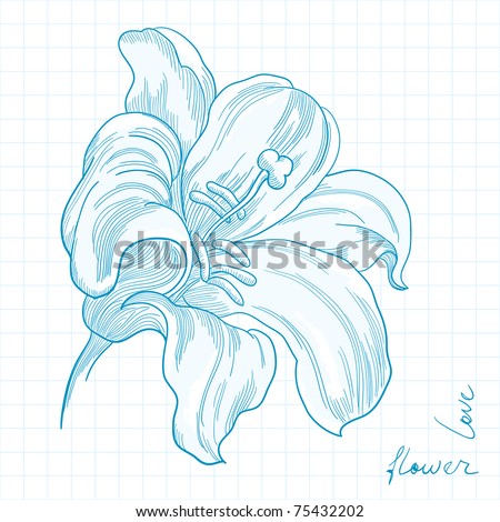 stock vector stylized copybook drawing of lily flower vector