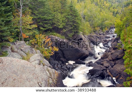 A rushing stream cuts through a northern Minnesota forest in autumn.