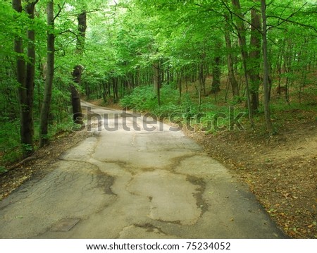 Green mountain trail in the Vienna forest, Vienna, Austria, Europe