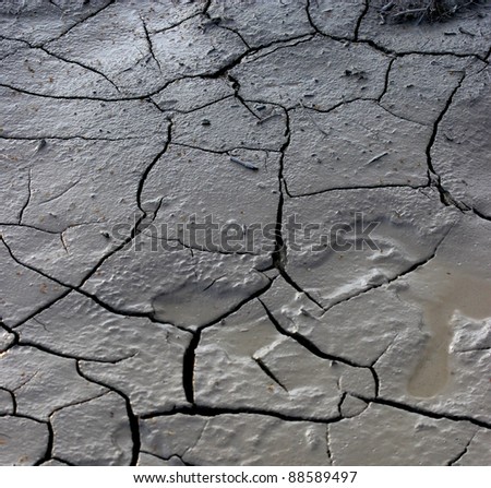 wet mud cracks in clay