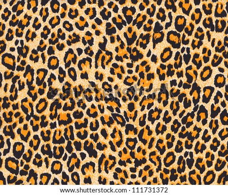 Texture of leopard skin background