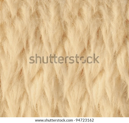 Sheep skin Background