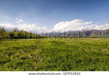 Asia landscape. Kyrgyzstan, Baitik