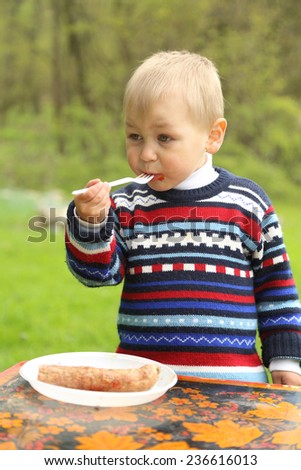 funny boy eats sausage on a picnic