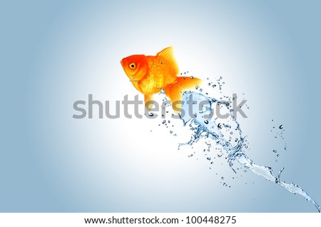 Jumping fish out of water, concept of challenge