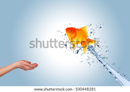Jumping fish into hand, concept of challenge