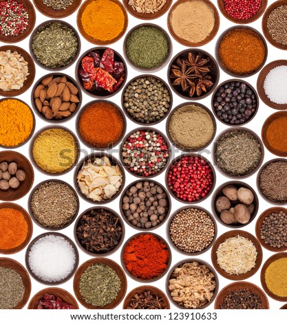 Various kinds of spices on white background