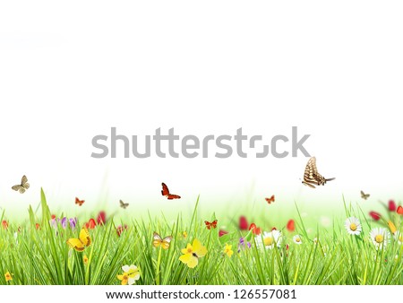 Spring Meadow With White Background