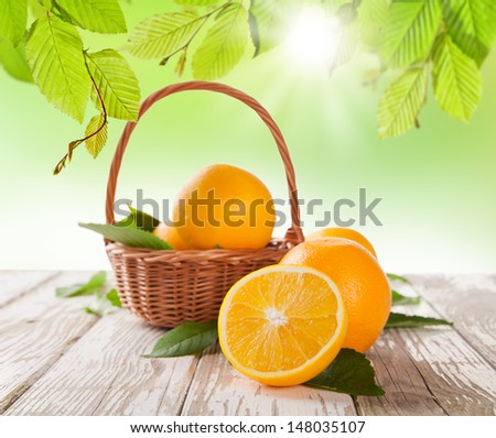 Fresh harvested oranges in basket