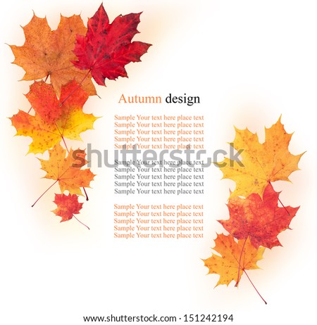 Colored autumn leaves isolated on white background