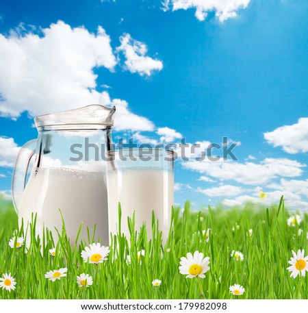 Milk jug and glass full of milk in grass with blooming chamomiles. Blue sky with clouds on background