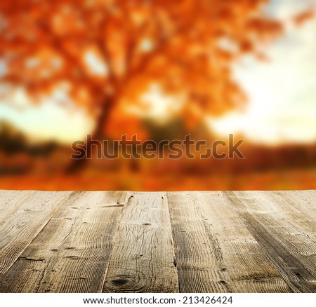 Autumn concept with empty wooden planks and blur tree on background