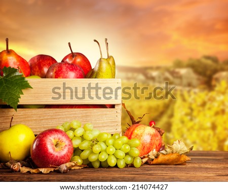Seasonal harvested agriculture products in wooden box with blur background