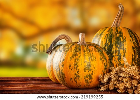 Seasonal harvested agriculture products on wooden planks with blur background