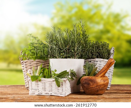 Various kinds of fresh herbs in flowerpots, placed on wooden table