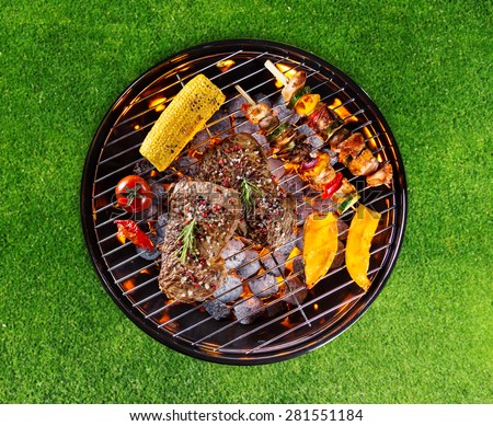 Barbecue grill with various kinds of meat. Placed on grass
