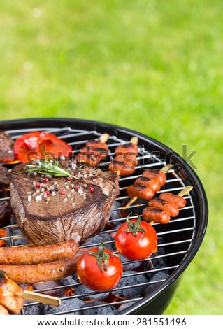 Barbecue grill with various kinds of meat. Placed on grass