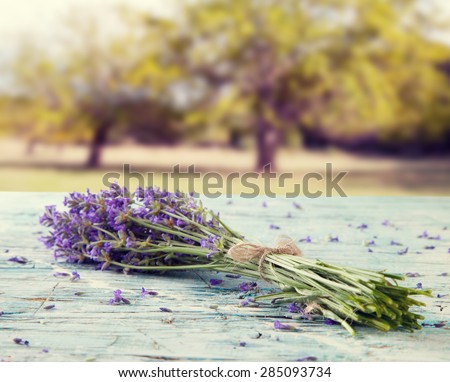 Harvested lavender flowers on wooden planks, blur landscape on background