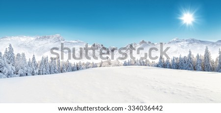 Winter snowy forest with alpen panorama and blue sky