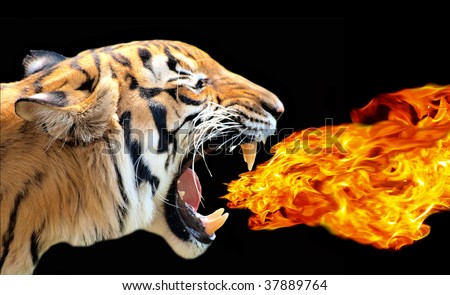 Tiger With Fire