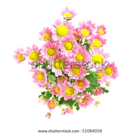 Chrysanthemum Bouquet