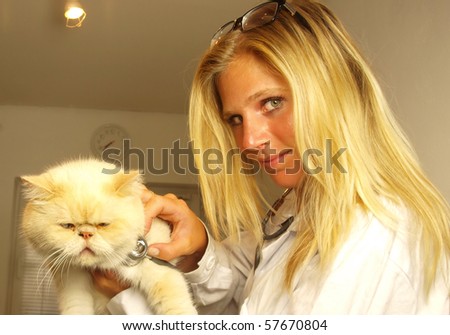 Beautiful blond young  Veterinarian examining a cat
