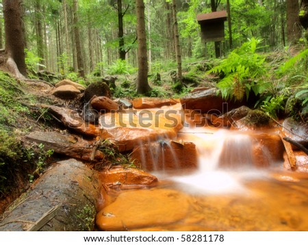Sulphur stream in forest