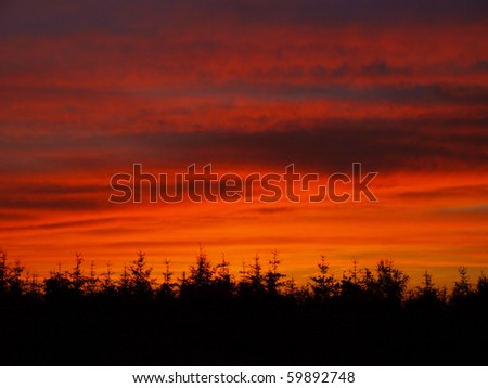 Sunset with dark forest silhouettes