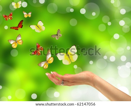 Woman hand releasing butterflies