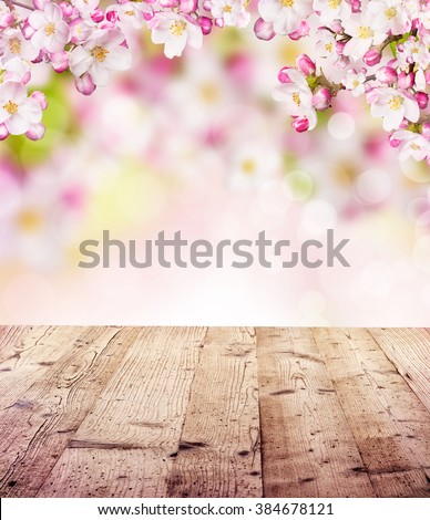 Cherry blossoms with empty wooden planks