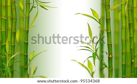 Spa bamboo background