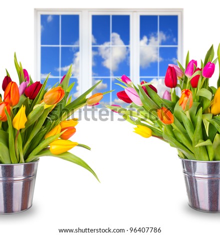 Beautiful spring bouquets of tulips with window