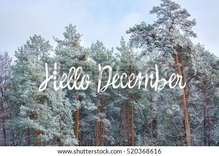hello december (winter) card