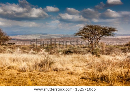 Hot, dry, parched Serengeti desert in Africa