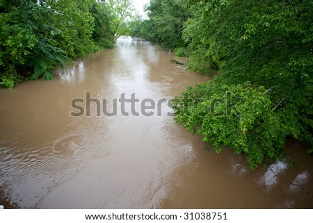 Flooded river covers trees