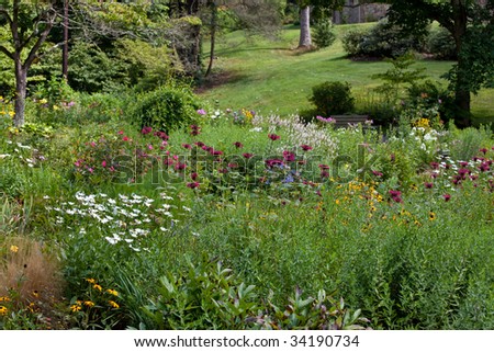 Natural free flowing garden of flowers, plants wildflowers and trees.