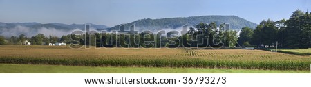 Panorama corn field & mountain mist