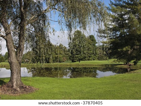 Scenic Pond