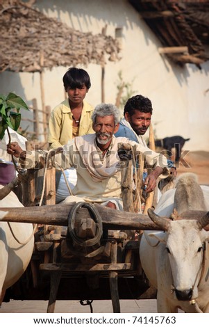 ANAND BAGH, INDIA - NOVEMBER 24:  Old farmer whips bulls pulling old-fashioned cart near Khajuraho, India on November 24, 2010.  India still uses the most basic agricultural tools.