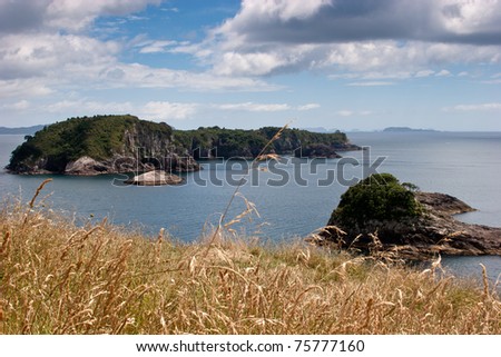 Views of the Bay of islands in the North Island of New Zealand