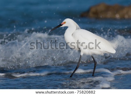 Clean Surf