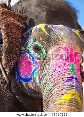 Logo Design Jaipur on His Ear Forward In Jaipur  India  Stock Photo 78767119   Shutterstock