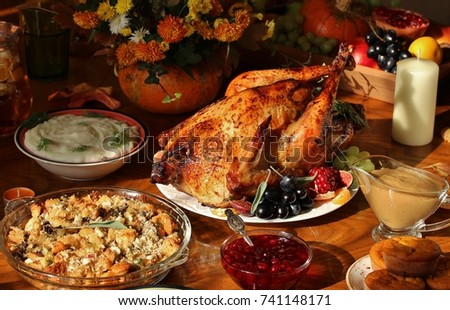 dishes for Thanksgiving. young turkey, cranberry sauce, pumpkin pie. sunny weather, the sun\'s rays illuminate the dishes.