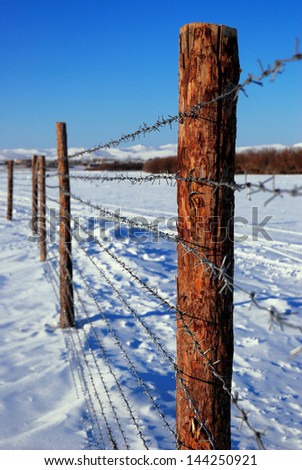 pillars with barbed wire in winter