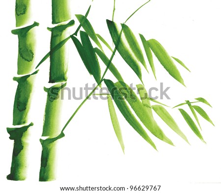 Bamboo Watercolor