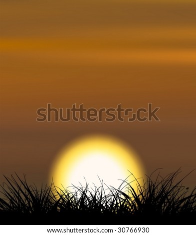 Background illustrating sunset with the grass shape in the front