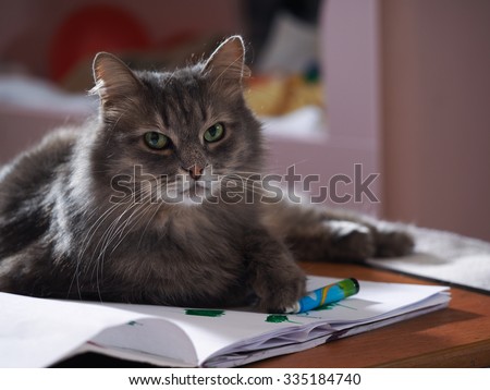Gray cat with green eyes lying on a sheet of paper. Near the green felt-tip pen. In cat beautiful eyes