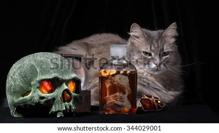 Mystic. Mystical life with a cat skull, a bottle of dark matter. The bottle floating scary creature or inside in alcohol. On the table is a ring with a glowing stone. We burn the eyes of the skull.